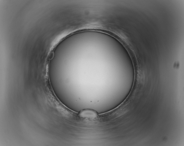 X0000114401366200911061528