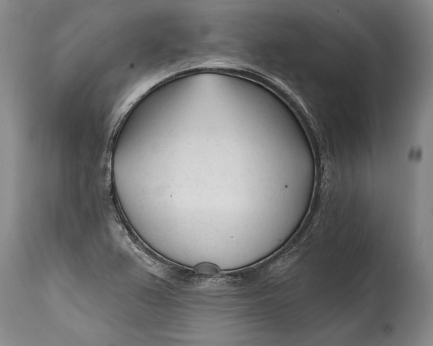 X0000114401367200911061528