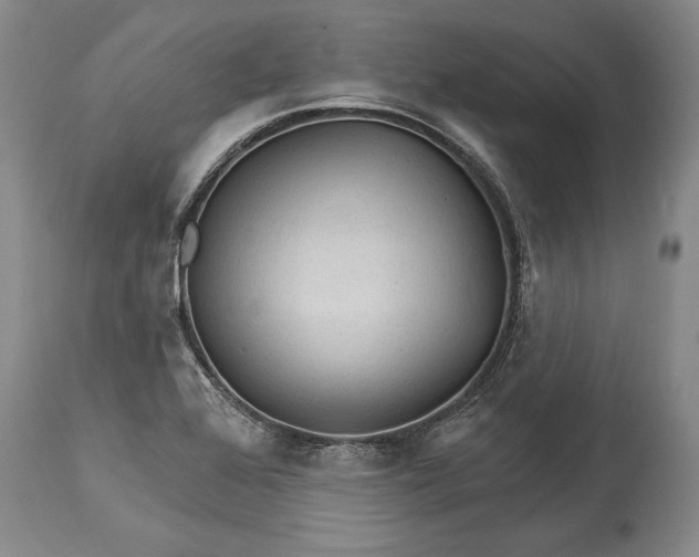 X0000114401368200911061528