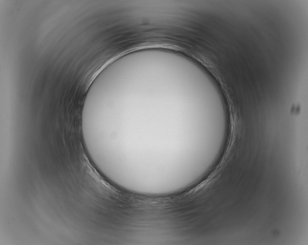 X0000114401369200911061528