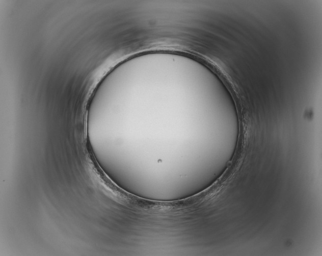 X0000114401371200911061528