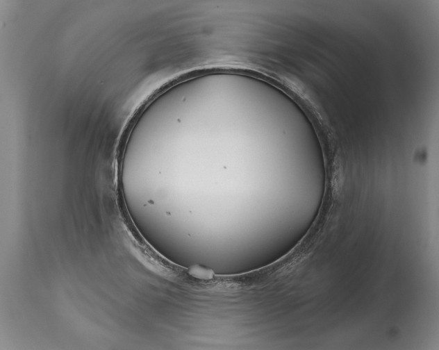 X0000114401372200911061528