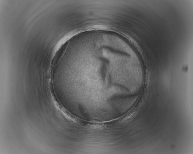 X0000114401373200911061528