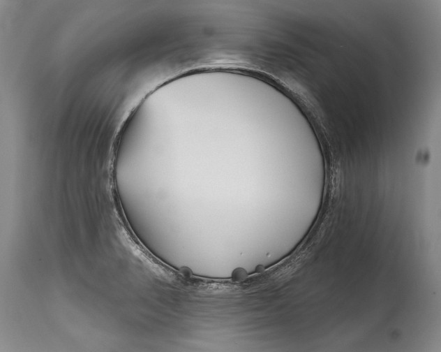 X0000114401374200911061528