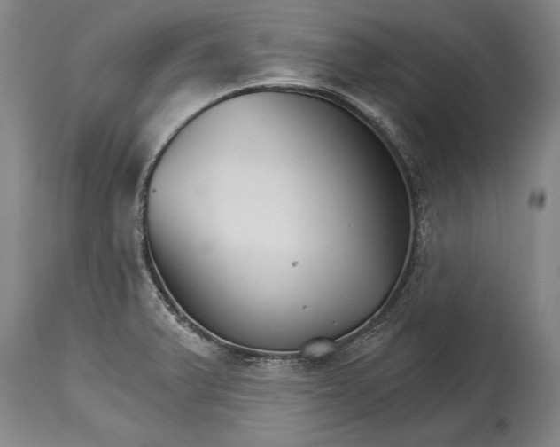 X0000114401375200911061528