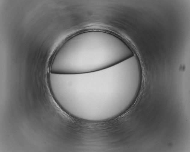 X0000114401376200911061528