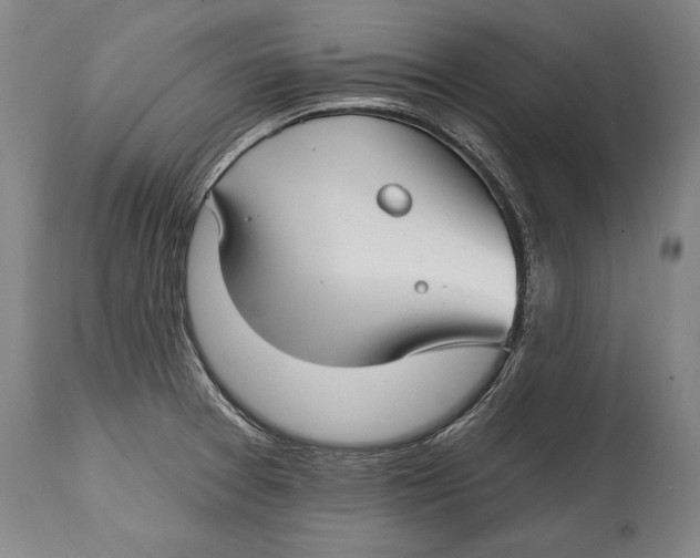 X0000114401377200911061528