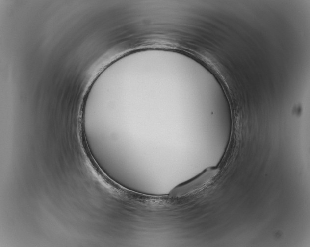 X0000114401379200911061528