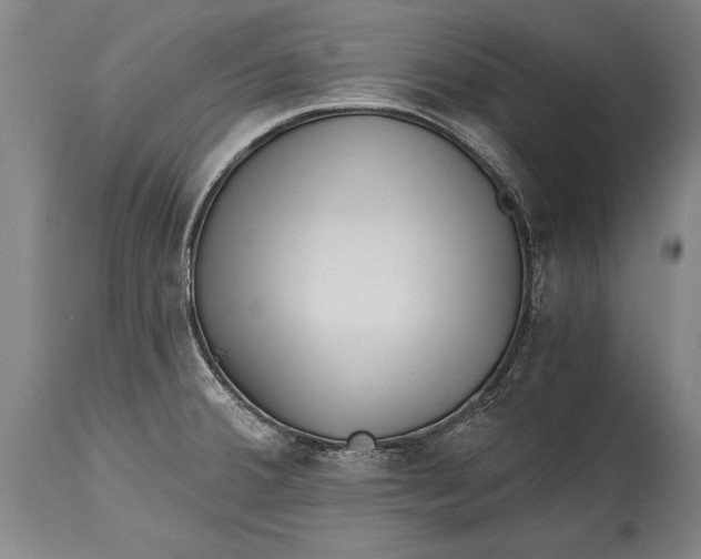 X0000114401380200911061528