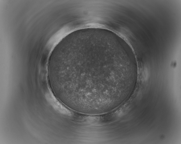 X0000114401381200911061528