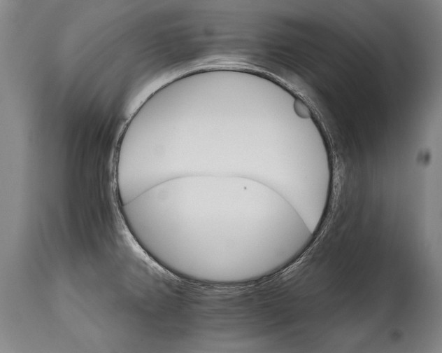 X0000114401382200911061528