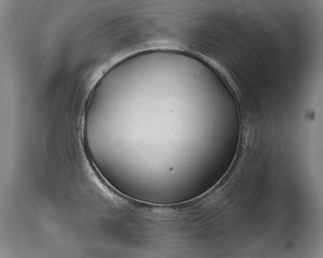 X0000114401383200911061528