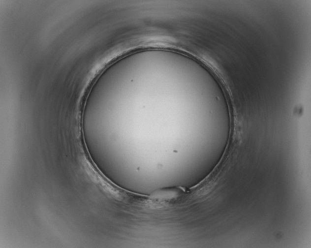 X0000114401384200911061528