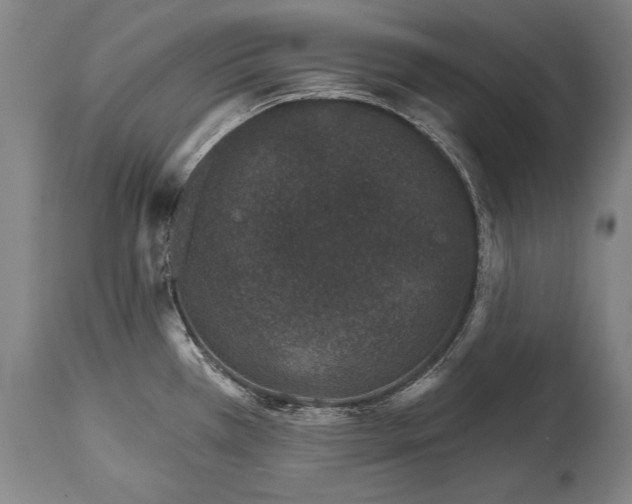 X0000114401385200911061528