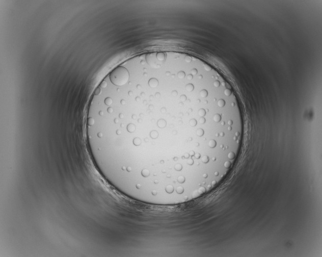 X0000114401386200911061528