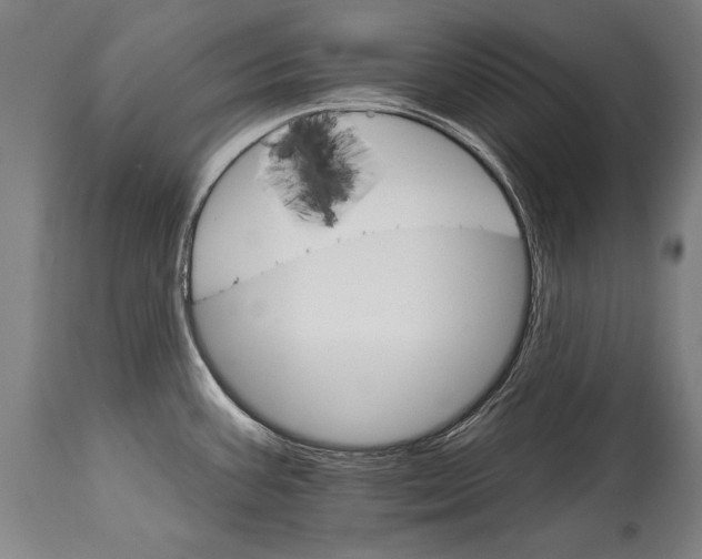 X0000114401387200911061528