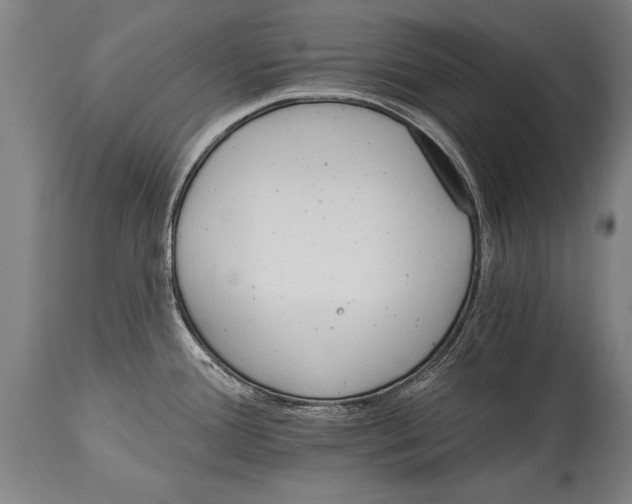 X0000114401388200911061528