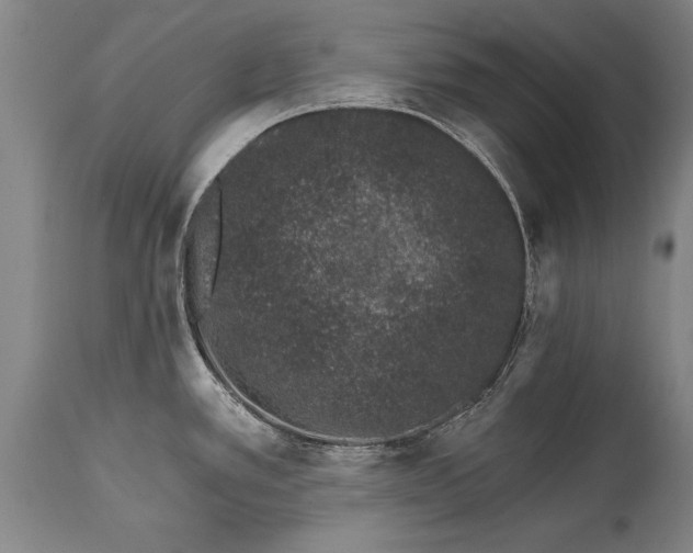 X0000114401389200911061528