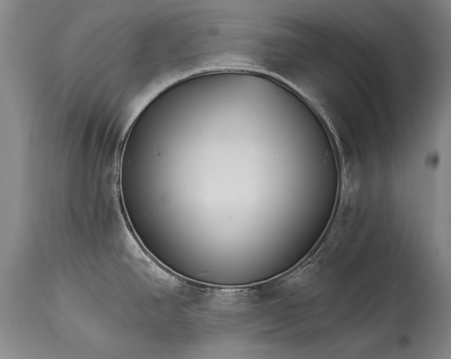 X0000114401390200911061528