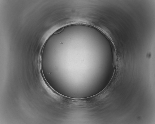 X0000114401391200911061527