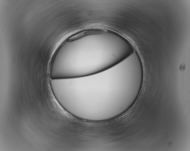 X0000114401392200911061527