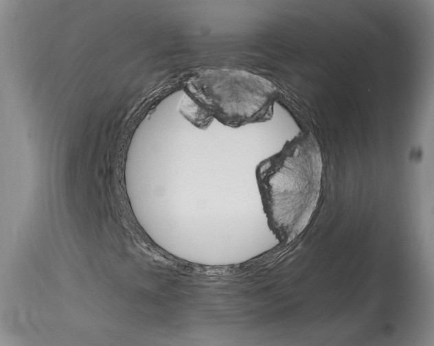 X0000114401393200911061527