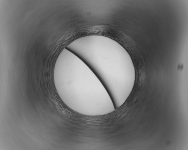 X0000114401394200911061527