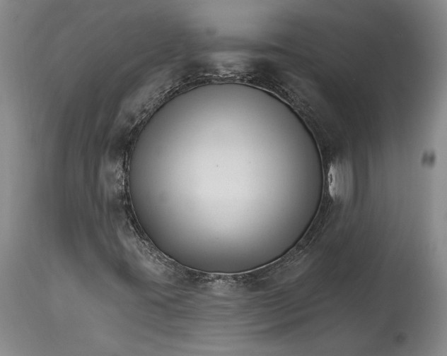 X0000114401395200911061527