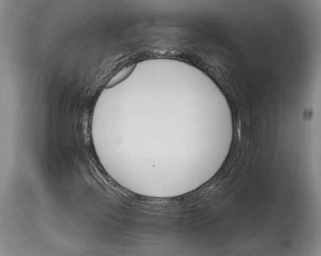 X0000114401396200911061527