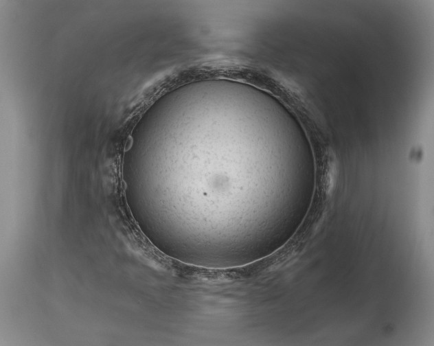 X0000114401397200911061527