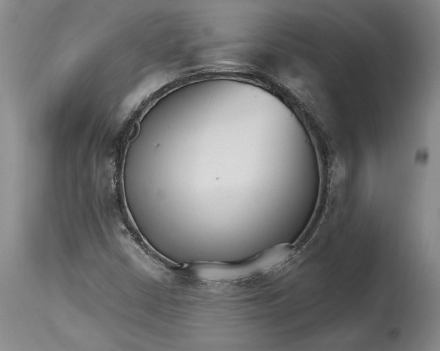 X0000114401402200911061527