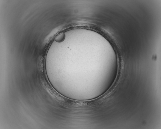 X0000114401403200911061527