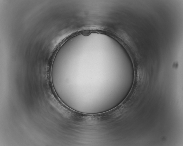 X0000114401404200911061527