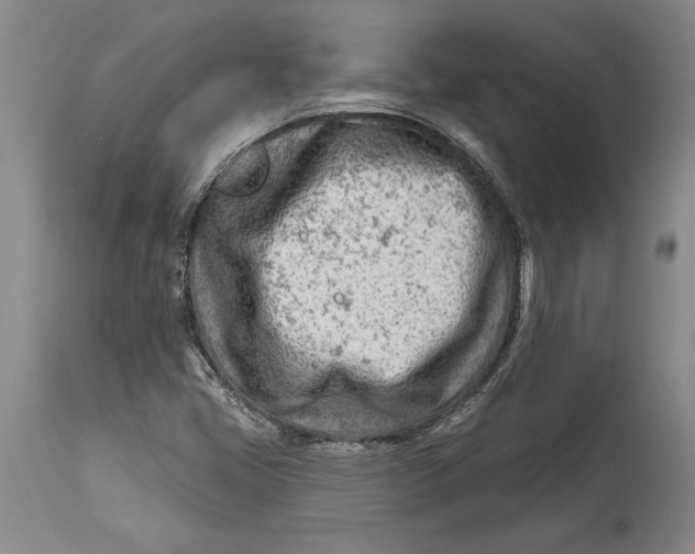 X0000114401405200911061527