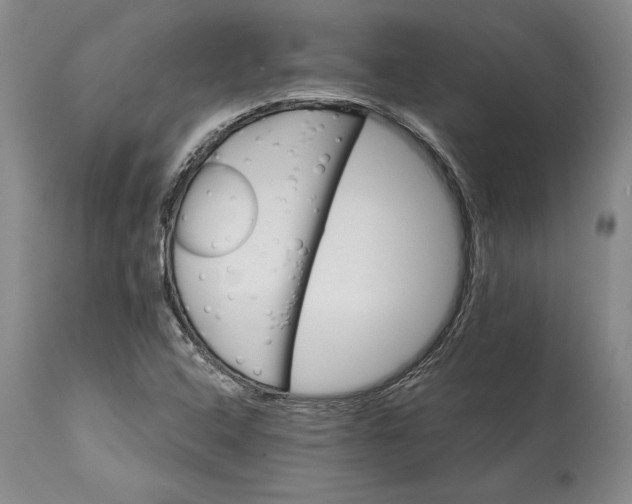 X0000114401408200911061527