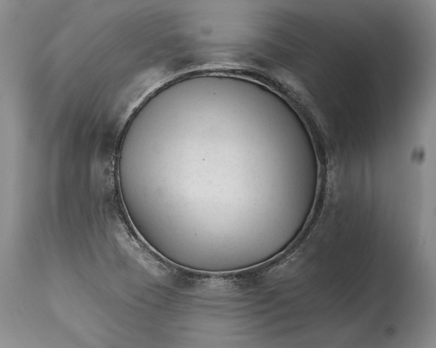 X0000114401409200911061527