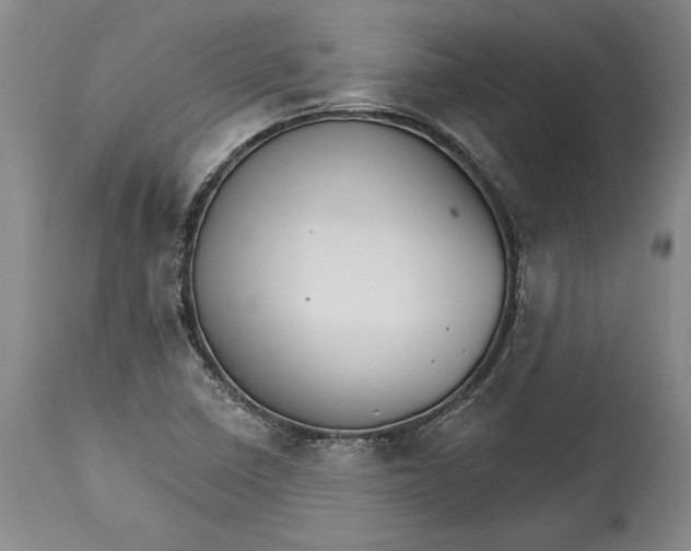 X0000114401410200911061527