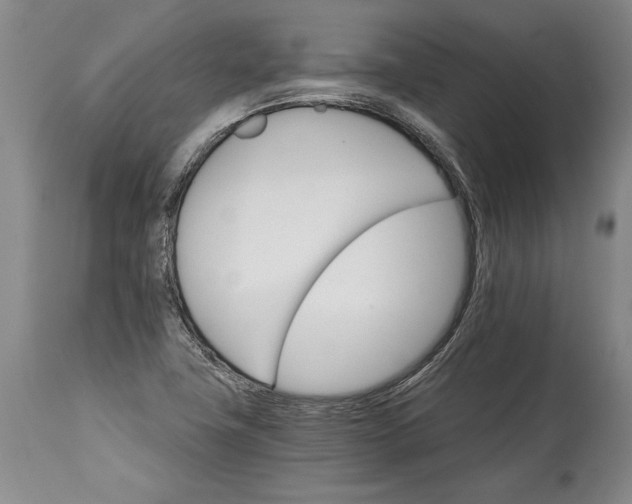 X0000114401411200911061527