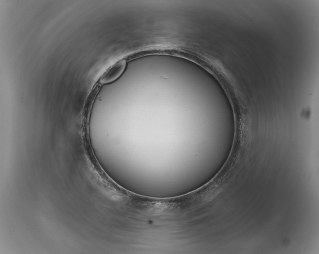 X0000114401412200911061527