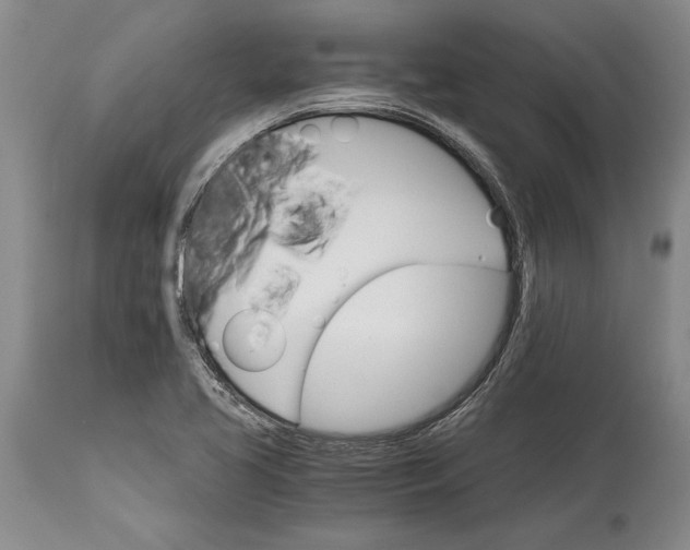 X0000114401413200911061527