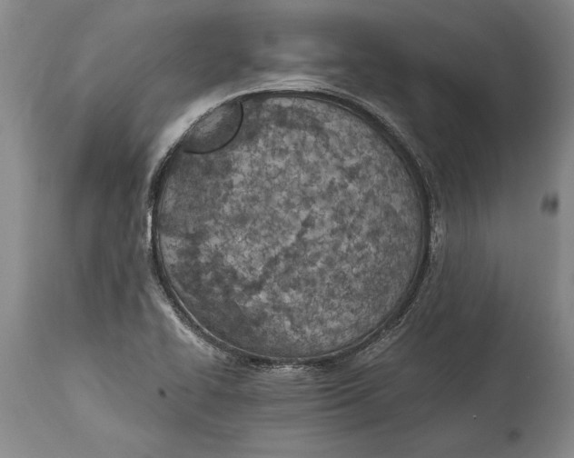 X0000114401414200911061527