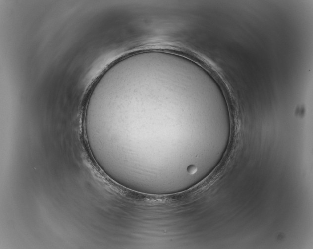 X0000114401415200911061527