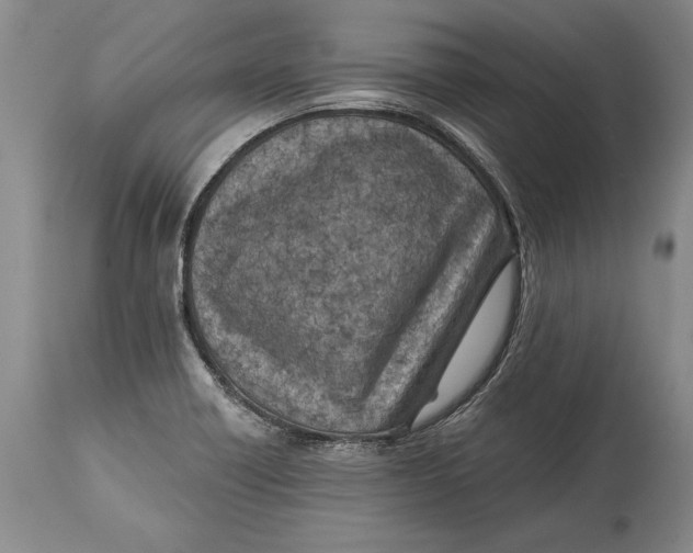 X0000114401418200911061527