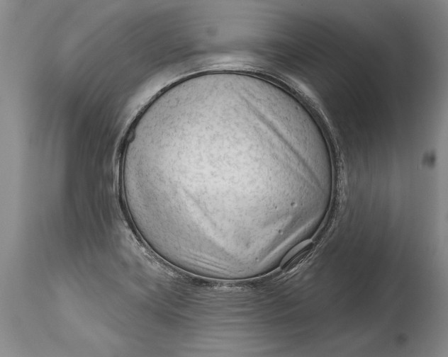 X0000114401419200911061527