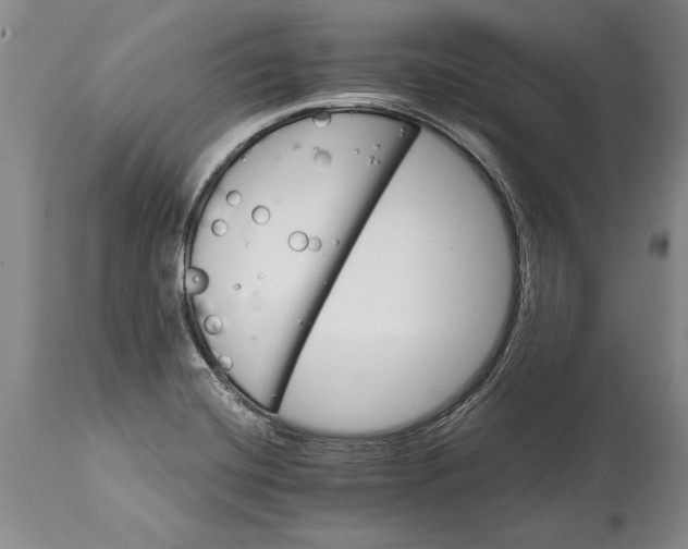 X0000114401420200911061527