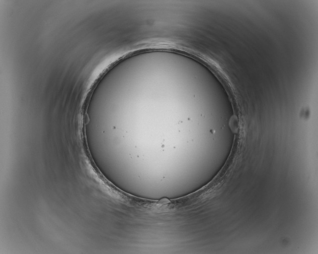 X0000114401424200911061527