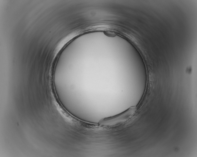 X0000114401426200911061527