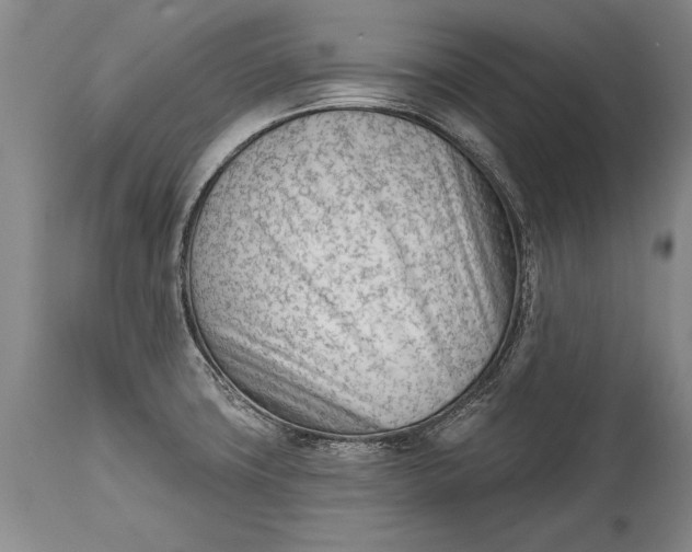 X0000114401427200911061527