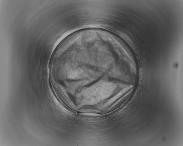 X0000114401428200911061527