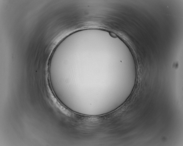 X0000114401431200911061527